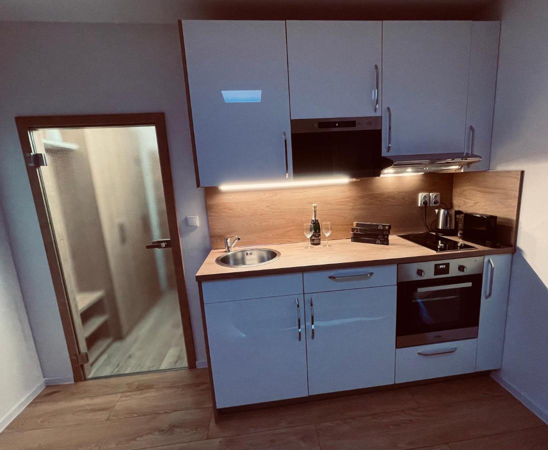 Ne-Doma Appartement Chomutov Buitenkant foto